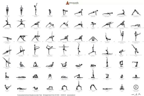 Yoga Sequences Vinyasa Flow | Blog Dandk