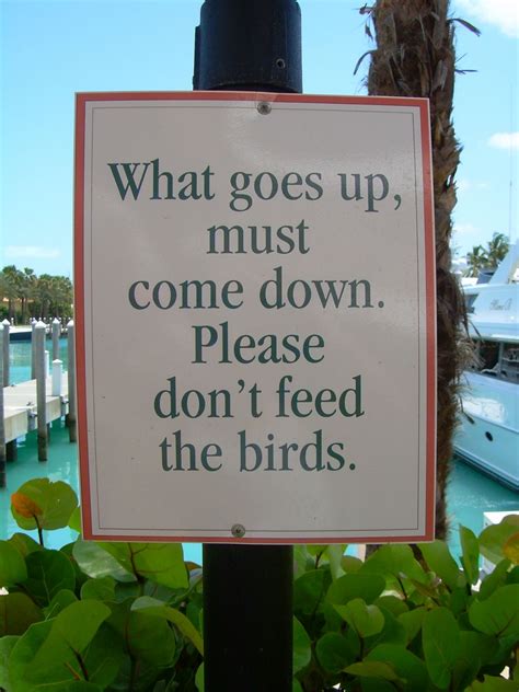 Funny Pictures: Funny sign boards