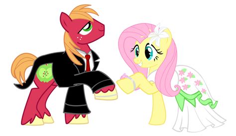 Pony Wedding Commission: Big Mac X Fluttershy by Mokrosuhibrijac on DeviantArt