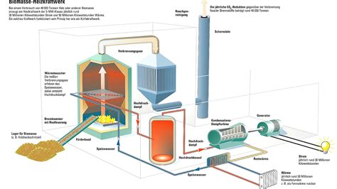 How Does Biomass Energy Work - Energy Choices