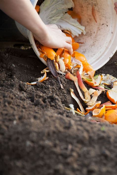 How to Get Started with Worm Composting - Simplify, Live, Love