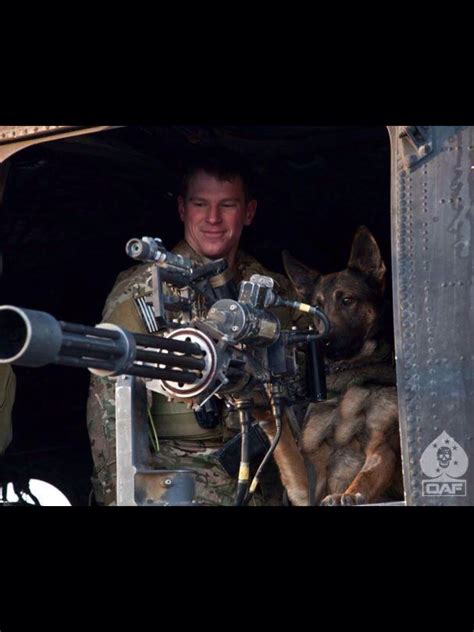 USAF MWD in training | Military dogs, War dogs, Dog hero