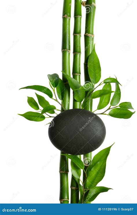 Spa stock photo. Image of bamboo, decor, design, elegance - 11120196