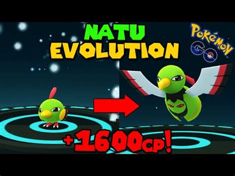 Evolving NATU to XATU (Pokemon Go GEN 2 Evolution) - YouTube