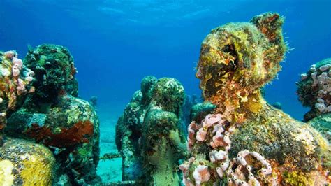 A visit to the Cancun Underwater Museum of Art