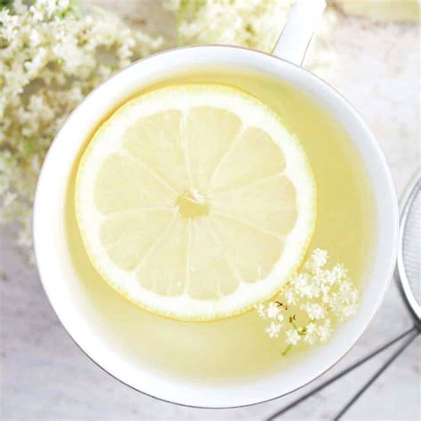 Elderflower Tea (with Fresh or Dried Elderflowers) - Where Is My Spoon