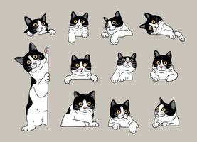 Tuxedo Cat Vector Art, Icons, and Graphics for Free Download