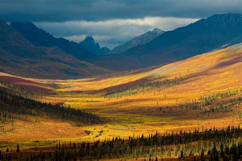 North Klondike River Valley Tombstone Territorial Park Yukon ...