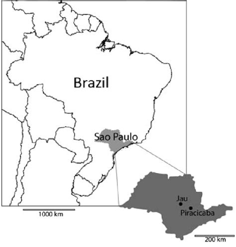 Map of Brazil highlighting the state of São Paulo in the Southeast ...