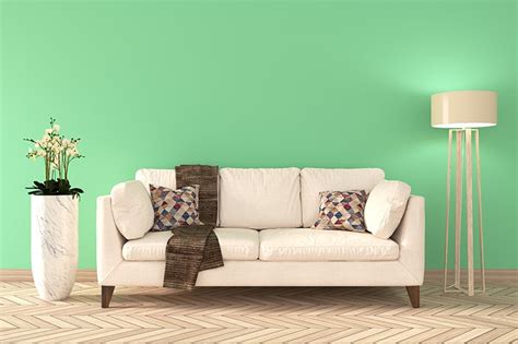 Green Room Colours For Your Home | Design Cafe