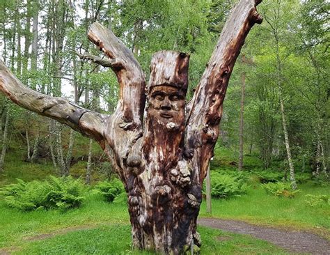 Visit the Frank Bruce Sculpture Trail before it disappears - Adventures ...