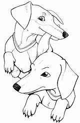 Dachshund Coloring Pages  Best For Kids sketch template
