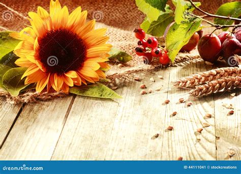 Colorful Rustic Thanksgiving Background Stock Photo - Image: 44111041