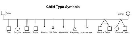 Standard Genogram Symbols - Genogram Analytics | Twin symbol, Symbols, Fraternal twins