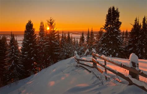 Обои Nature, Winter, Landscape, Sun, Snow, Sunrise, Firs картинки на ...