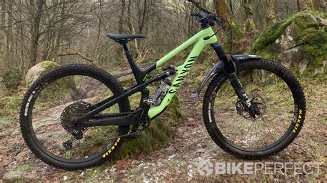 Best trail mountain bikes 2024 | BikePerfect