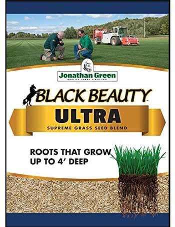 The 7 Best Grass Seed For Sun And Shade - Pro Garden Man - The Gardener's Guide to a Lush Lawn