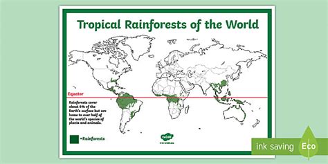 Rainforest Map - KS2 Reference Sheet (teacher made) - Twinkl