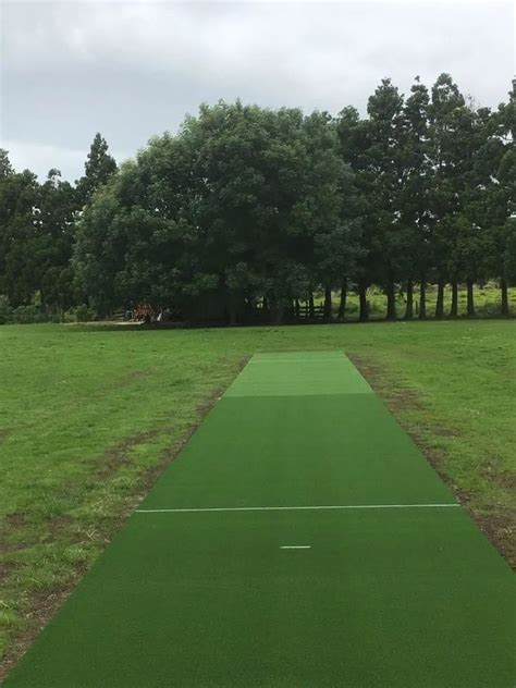 APT Artificial synthetic Cricket Pitch Grass, 10 x 2.7Mt Turf from ...