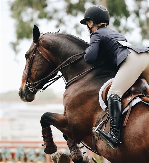 Horseback Riding