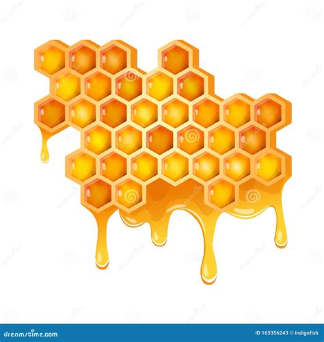 Honeycomb with Flowing Honey Stock Vector - Illustration of artistic, food: 163356243