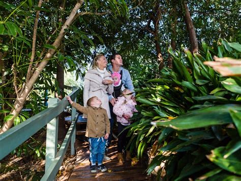 Wagga Wagga Botanic Gardens | NSW Holidays & Accommodation, Things to ...