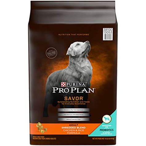 Top 10 Pro Plan Cat Food Beef And Chicken - Easy Home Care