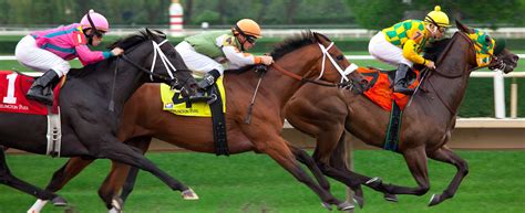 Paardenraces in Nederland: een gids voor beginners