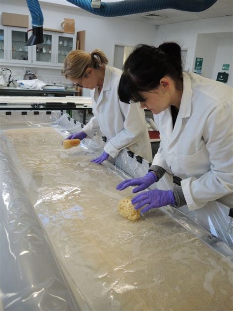 Inside the textiles conservation studio how to wash textile objects – Artofit