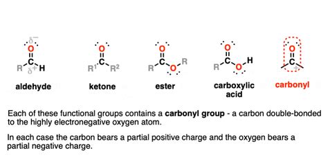 Functional Groups