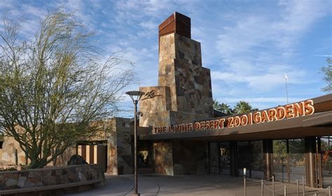 Palm Springs' Living Desert Zoo: 8 Epic Things to See