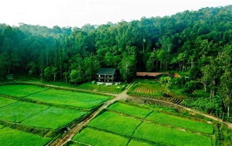 Chethalayam Waterfalls, Wayanad: How To Reach, Best Time & Tips