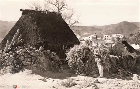 Un jacal y cargadores de leña - Calles y Viviendas, Economía y Cultura ...