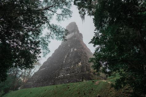 340+ Mayan Pyramids Tikal Landscape Mayan Stock Photos, Pictures ...