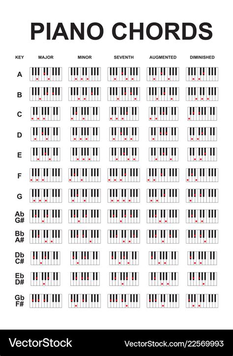 Piano chords or key notes chart on white Vector Image