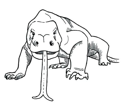 komodo dragon head clipart black and white - Clipground