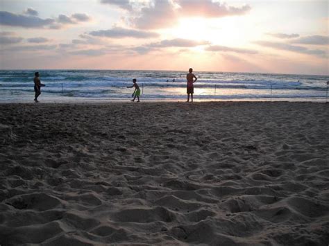 finding poppies in Israel: Haifa beach!