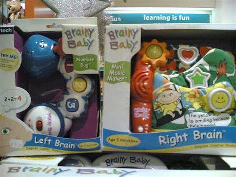 Brainy Baby Left Brain Bundle – The Brainy Store