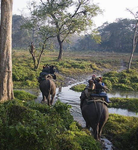 Elephant Ride at Jaldapara Wildlife Sanctuary! | Jaldapara W… | Flickr