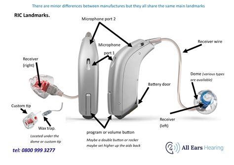 Oticon Hearing Aid Parts Diagram | Reviewmotors.co