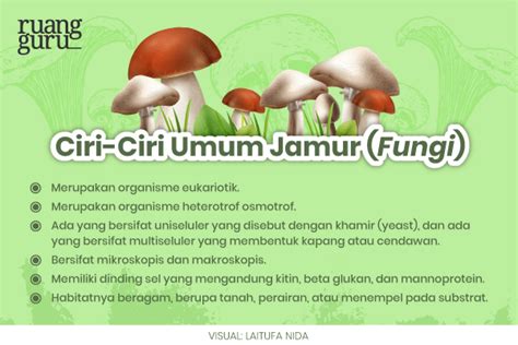 Manfaat Jamur serta Dampak Buruknya yang Perlu Kamu Tahu | Biologi Kelas 10