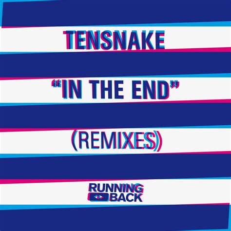 In The End (Remixes) | Tensnake