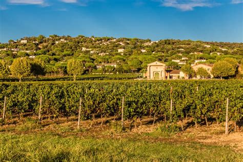 Winery Building And Vineyard-Provence,France Stock Photo - Image of ...