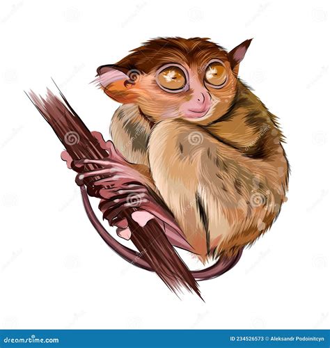 Lemur Tarsier Sitting on a Branch from Multicolored Paints. Splash of Watercolor, Colorful ...