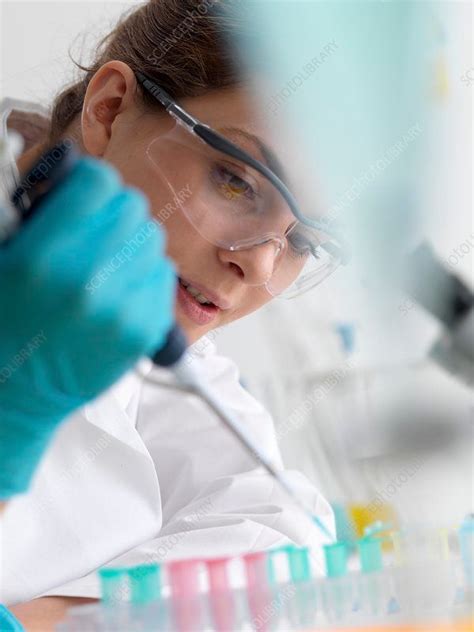 Biotechnology research - Stock Image - F026/5244 | Photo social media, Scientist, Women scientists