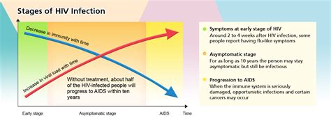 Hiv Infection Stages