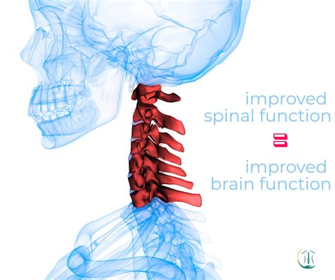 SPINAL ADJUSTMENT DOES IMPACT BRAIN FUNCTION