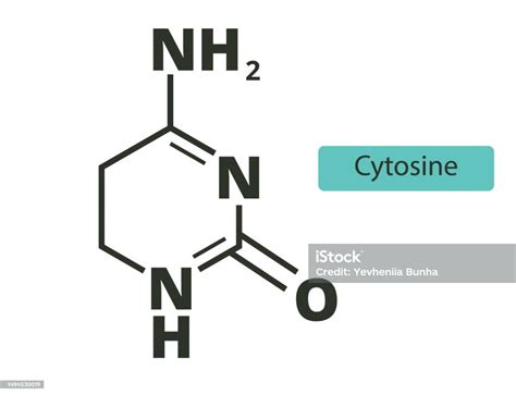 Cytosine Molecular Skeletal Chemical Formula On White Background Stock Illustration - Download ...