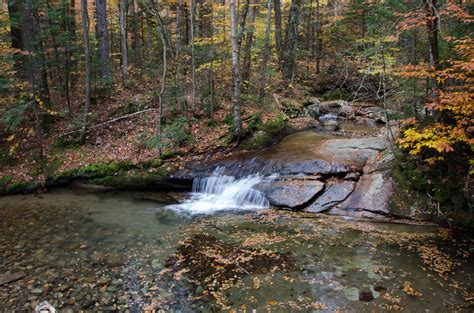 White Mountains Fall Foliage 260 by FairieGoodMother on DeviantArt