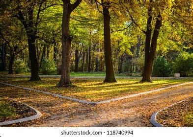 Autumn Forest Two Paths Stock Photo 118740994 | Shutterstock